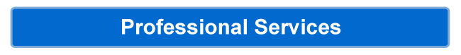 Professional Services